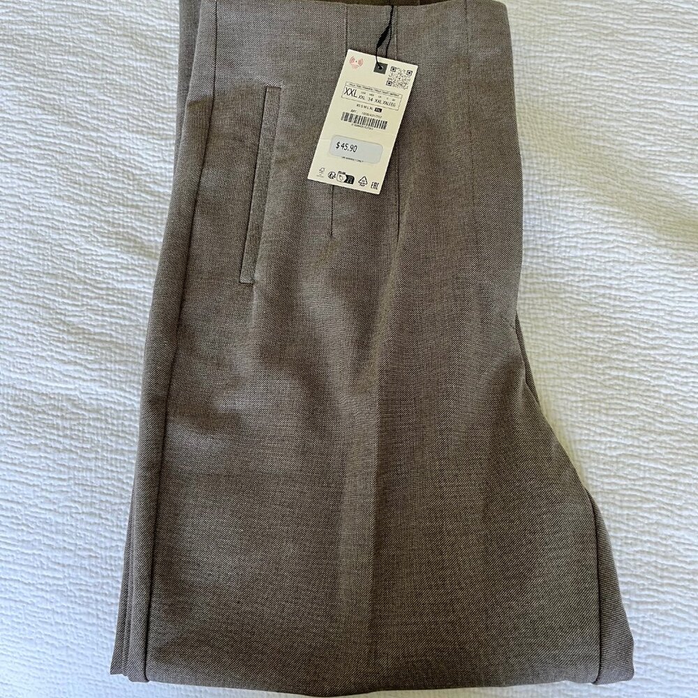 Zara High Waisted Pants in Taupe Brown NWT